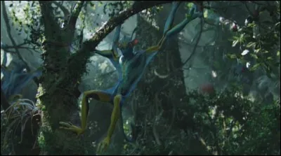 Très semblable aux singes terrestres, cet animal est le [...].