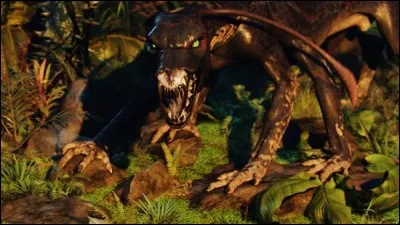 Cet animal-là est carnivore mais plus petit que la plupart des carnivores ou omnivores. Il est appelé le [...].