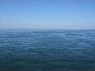 Domaine maritime. Quelle est la particularité de la mer des Sargasses ?