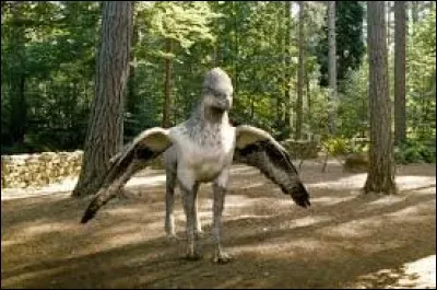 Comment s'appelle cet hippogriffe ?