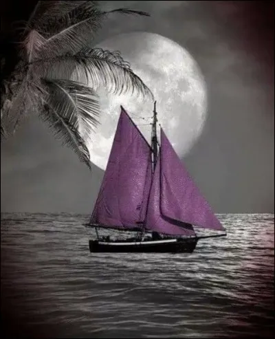 Sur quel bateau Tintin rencontre-t-il le capitaine Haddock pour la première fois ?