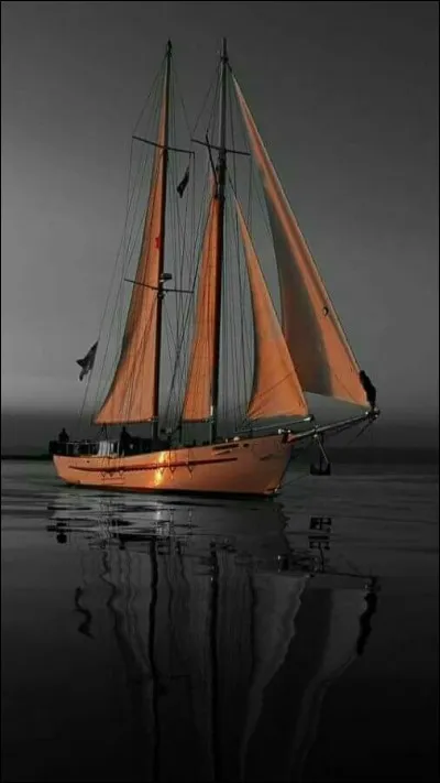 Redouté par tous les bateaux du monde, où se situe le Triangle des Bermudes ?