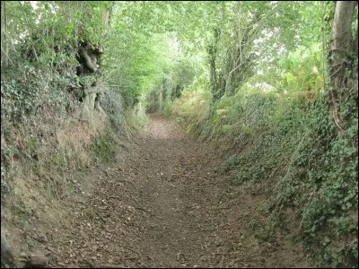 Trouve parfois une maîtresse qui colle, c'est l'...