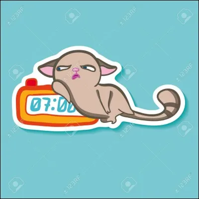 Complétez - Lève-toi et :