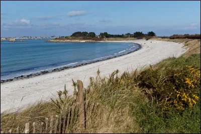 Quel est le nom de cette pointe ?