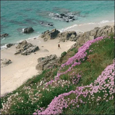 Quel est le nom cette pointe ?