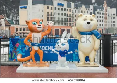 En quelle année, les Jeux olympiques de Sochi eurent-ils lieu ?