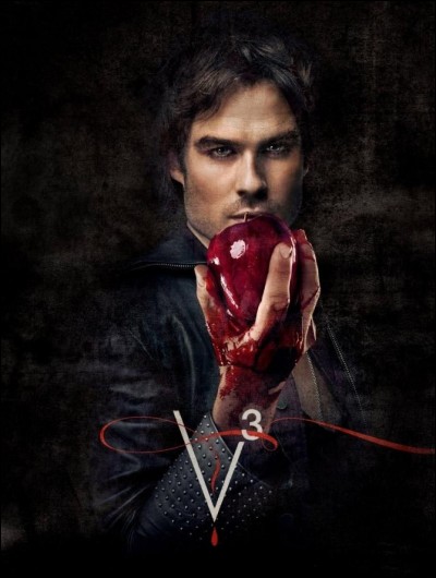 Dans ''Vampire Diaries'' qui est Damon pour Stefen ?