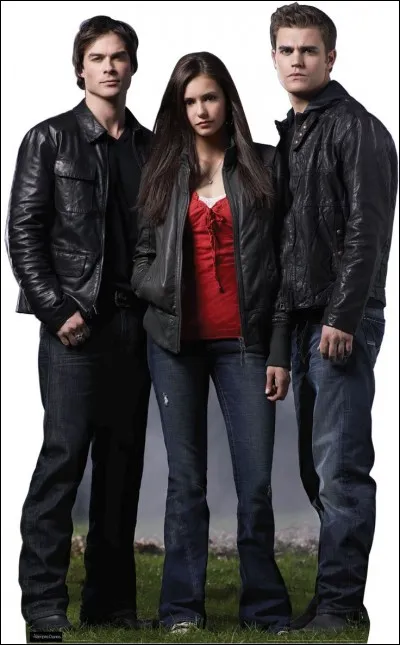 Qui choisiriez-vous ?