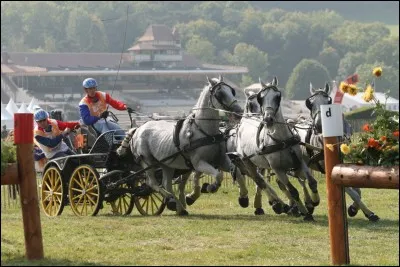 Le concours complet d'attelage comprend 3 épreuves :