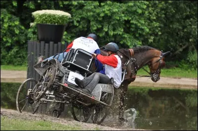 La personne à l'arrière de la voiture et dont le rôle va être de l'équilibrer dans les tournants serrés et les dévers s'appelle :