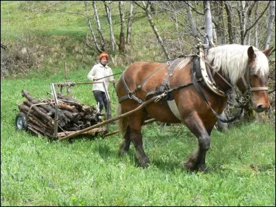 Pour de l'attelage agricole, il est indispensable d'utiliser...