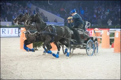 Au fait, comment appelle-t-on celui (ou celle) qui dirige un attelage ?