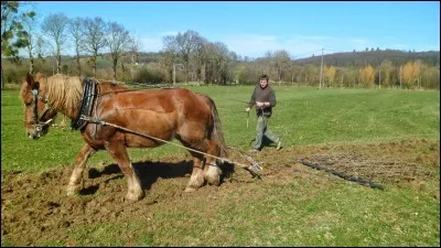 Pour une traction optimale, comment doit être la ligne de traction ?