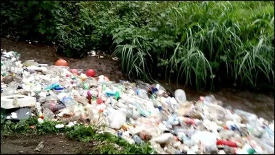 Existe-t-il du plastique biod&eacute;gradable ?