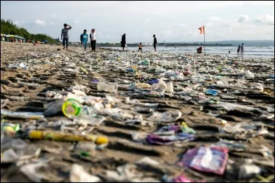 Qu'est-ce qui met le plus longtemps &agrave; se d&eacute;grader ?