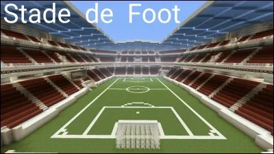 Quel est ton poste pr&eacute;f&eacute;r&eacute; ?