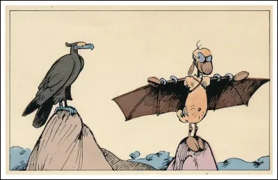 Quel est le nom de cette brebis ?