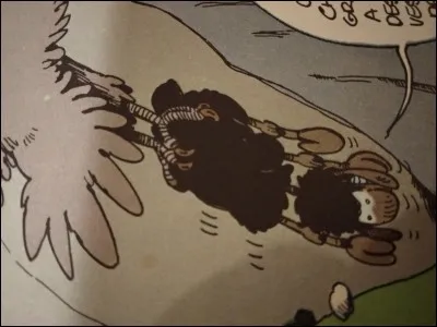 Quel est le nom de cette brebis ?