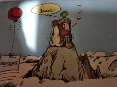 Quel est le nom de cette brebis ?