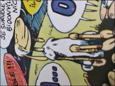 Quel est le nom de cette brebis ?