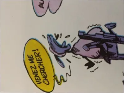 Quel est le nom de cette brebis ?