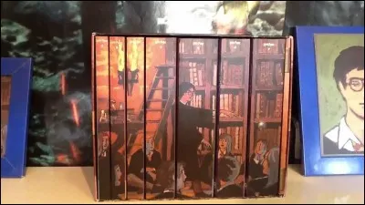 Vous êtes plutôt livre :