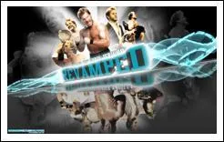 Qui est ce catcheur ?