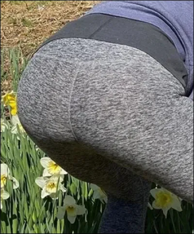 À qui appartient ce fessier ?