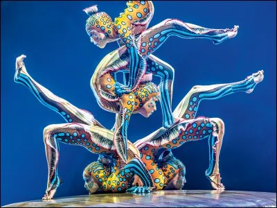 De quel pays est originaire 'Le Cirque du Soleil' ?