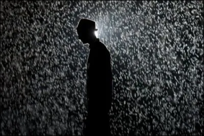 Qui est l'acteur principal du film 'Le passager de la pluie' ?