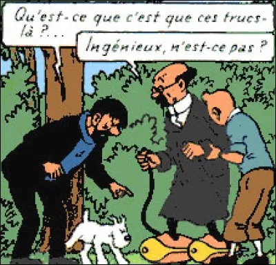 Dans quel album le professeur Tournesol a-t-il eu l'idée des patins à moteur ?