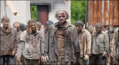 Qui chante "Zombie" une reprise du groupe The Cranberries ?