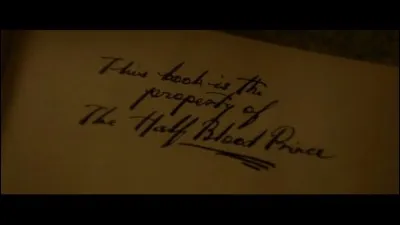 Qui est le Prince de Sang-Mêlé ?