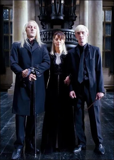 Chez qui arrivent Harry, Hermione et Ron après s'être échappé de chez les Malefoy ?