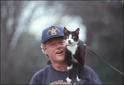 Voici le chat de la famille du président américain Bill Clinton pendant sa présidence. Quel était son nom (chaussettes en anglais) ?