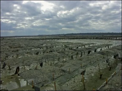 Quel est le nom de cette baie ?