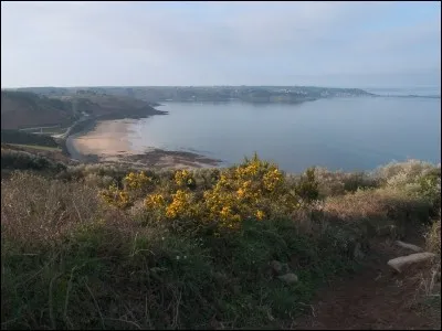 Quel est le nom de cette baie ?