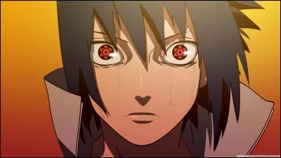 Comment se nomme ces pupilles ?