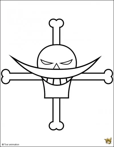 De quelle équipage ce drapeau est-il issu ?