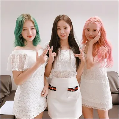 Qui sont-elles ? (De gauche à droite)