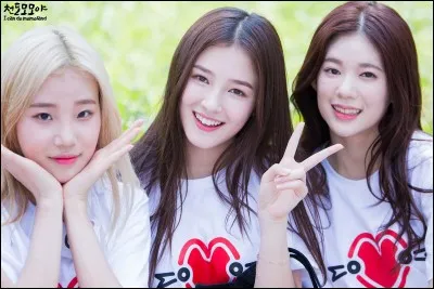 Qui sont-elles ? (De gauche à droite)