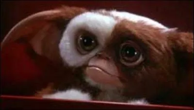 Dans 'Gremlins', qu'est-ce qu'il ne faut surtout pas faire avec un Mogwa ?