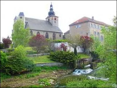 Ville de l'ancienne région Lorraine, dans le pays de Nied, Bouzonville se situe dans le département ...