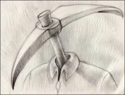 Que signifie l'expression "Tête de pioche" ?