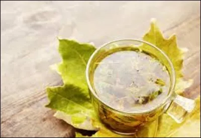 Qui a dit "Les feuilles sèches préparent la tisane de l'automne" ?