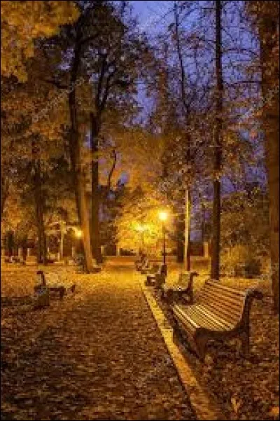 Si je suis né le 24 octobre, une belle nuit d'automne, quel est mon signe astrologique ?