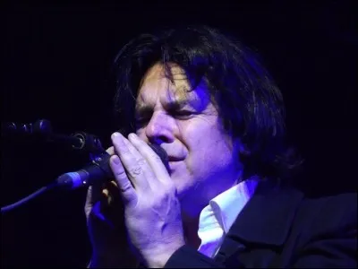 Comment s'appelle le projet solo de Steve Hogarth ?