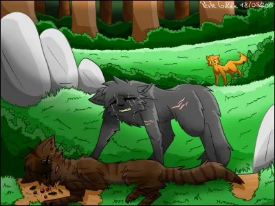 Qui est la mère du chef du clan de l'ombre dans le livre où Petite Feuille est assassinée ?