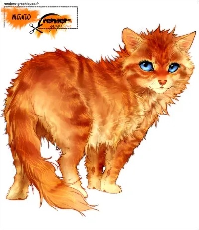 Qui sont les petits enfants d'Étoile de Feu ?